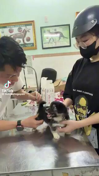 zQimCFyHwInyw rM.jpg