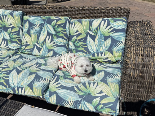 HC AwrkXQAALZBl?format=jpg.jpg