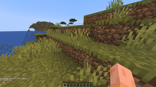 javaw 7LbPHwtCln.png