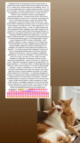 IMG 20260309 234656 477.webp