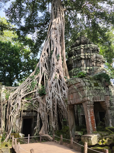 IMG 20251021 145730.jpg