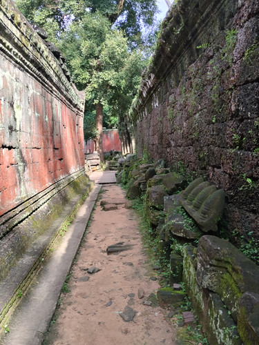 IMG 20251021 145625.jpg