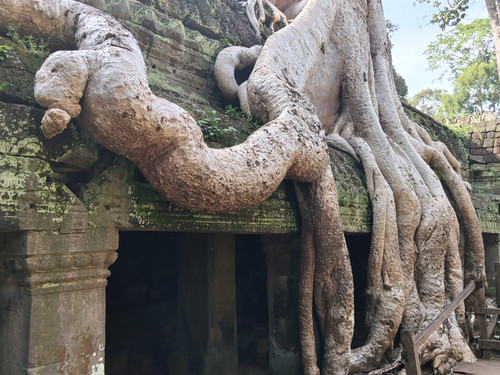 IMG 20251021 150334.jpg