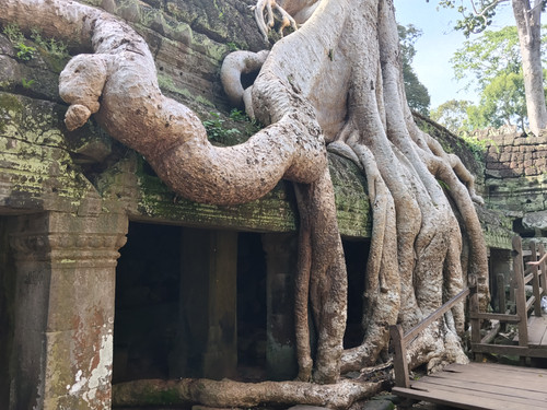 IMG 20251021 150414.jpg