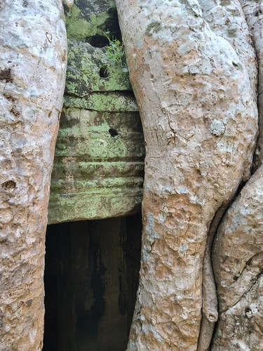 IMG 20251021 150220.jpg