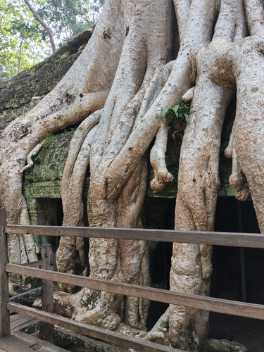 IMG 20251021 150232.jpg