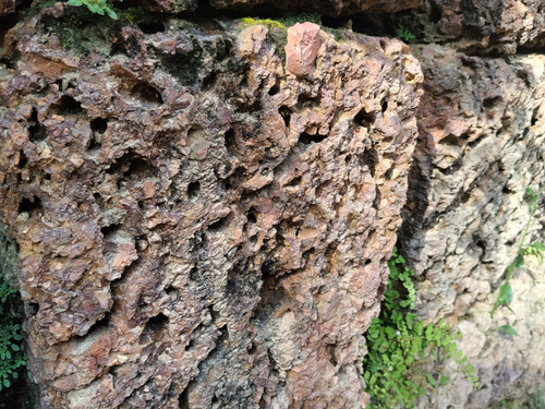 IMG 20251021 144502.jpg