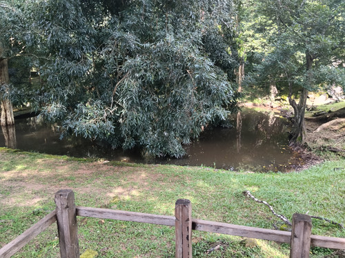 IMG 20251021 144651.jpg