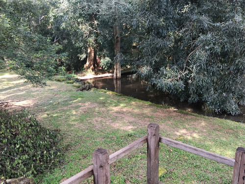 IMG 20251021 144654.jpg