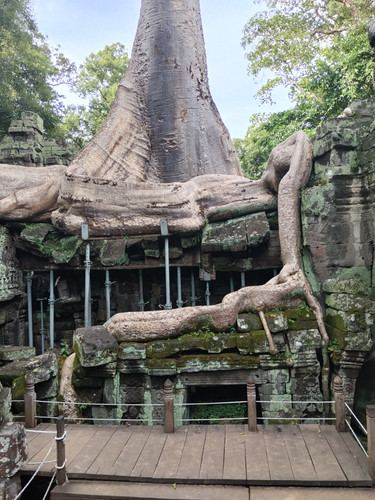 IMG 20251021 145045.jpg