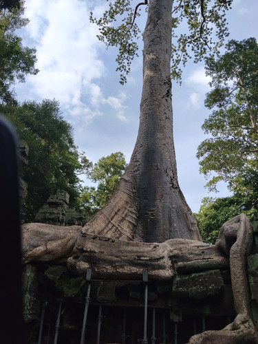 IMG 20251021 145051.jpg