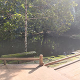 IMG 20251021 152228.jpg