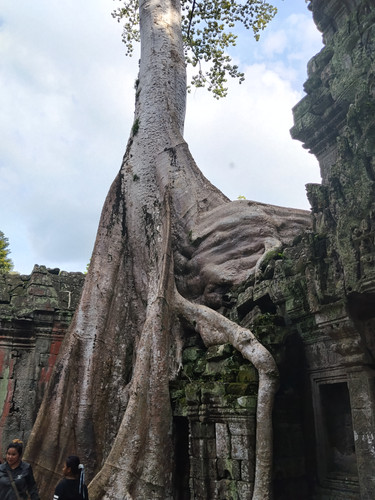 IMG 20251021 145419.jpg