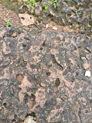 IMG 20251021 160019.jpg