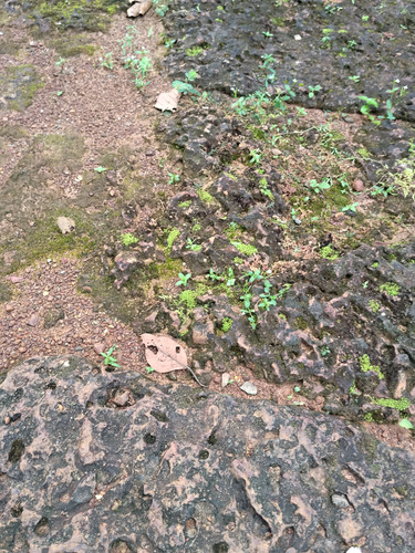 IMG 20251021 160023.jpg