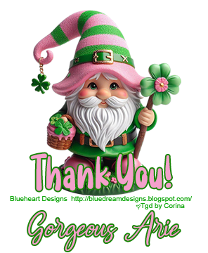 GorgeousArie3 vi.png