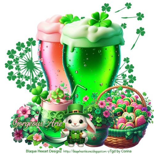 GorgeousArie4 vi.png