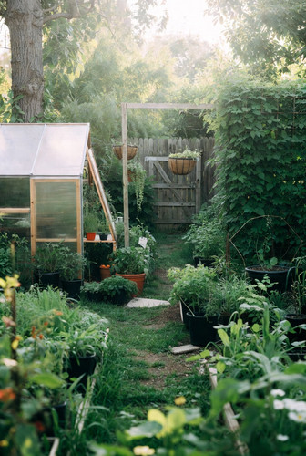 22e1b85b dba0 47ce 86a5 e50212f274b8.jpg