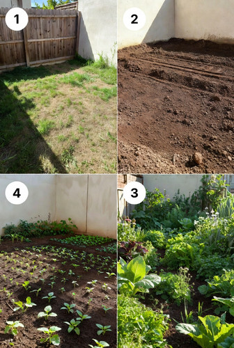 60e9f779 5a09 4433 94c1 810cfcb7d3d5.jpg