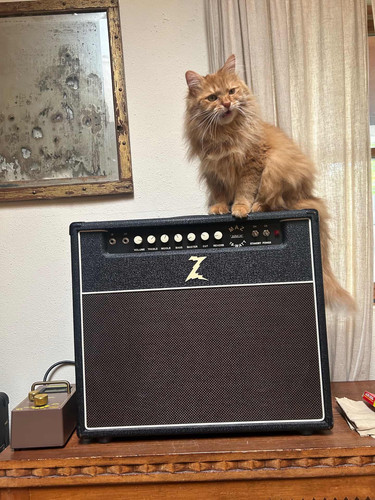 649129688 1349011923934422 74479642539474056 n.jpg