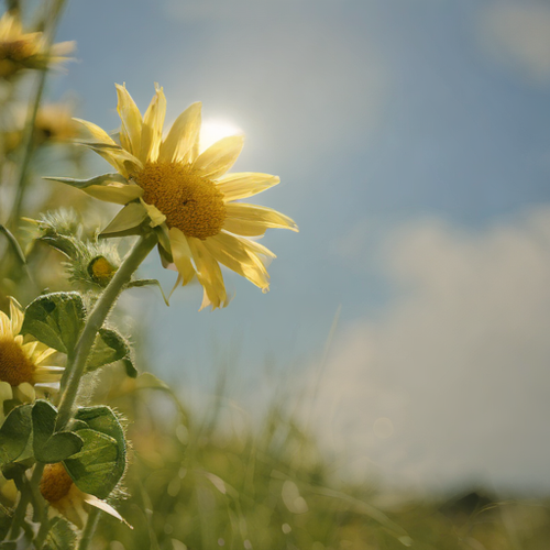 kanji ãã£ã¨.png