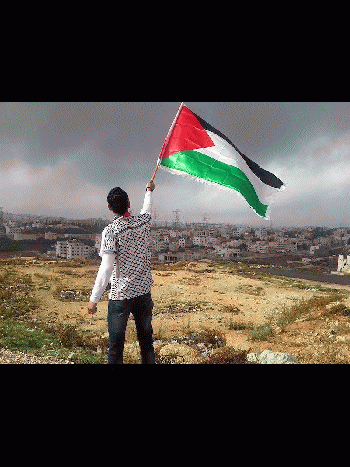 we stand with PALESTINE 2.gif