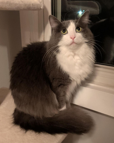 646893253 1480983933587343 7191491659247581634 n.jpg