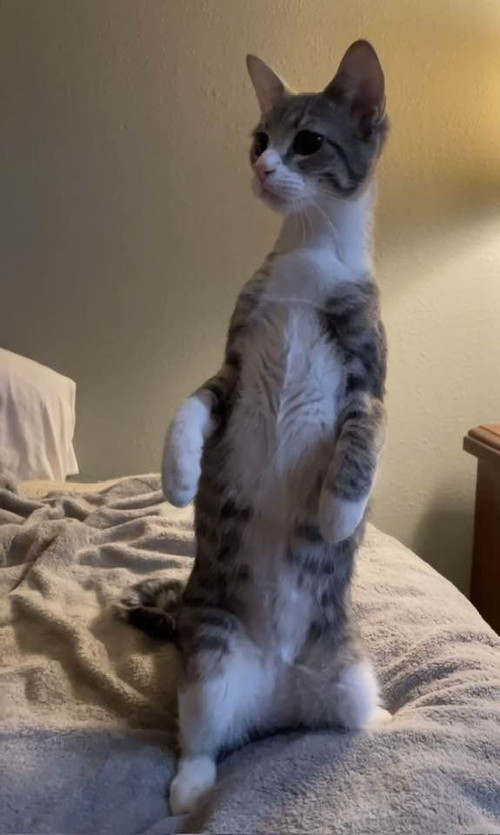 648280288 1495382878824074 4955318666710288547 n.jpg