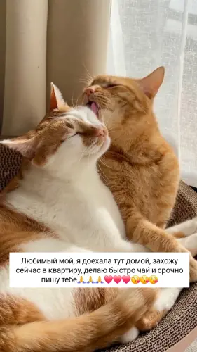 IMG 20260309 222540 650.webp