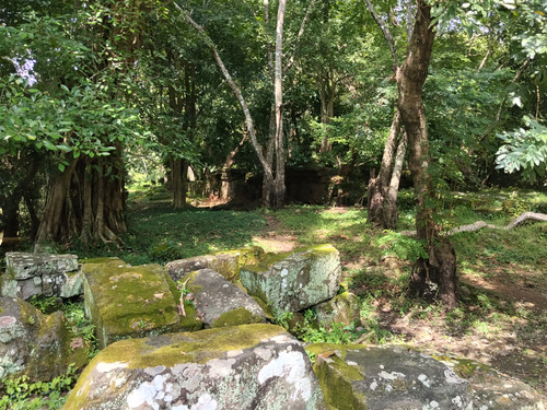 IMG 20251021 133007.jpg