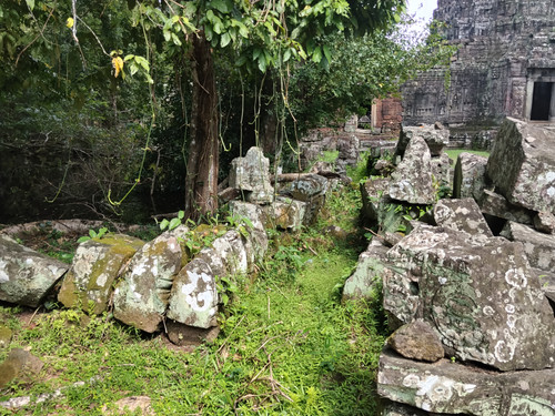 IMG 20251021 133355.jpg