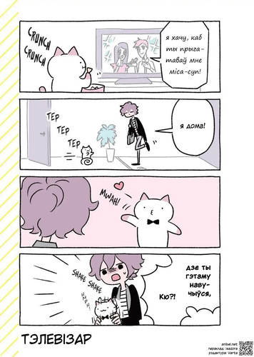 03 354 Тэлевізар.jpg