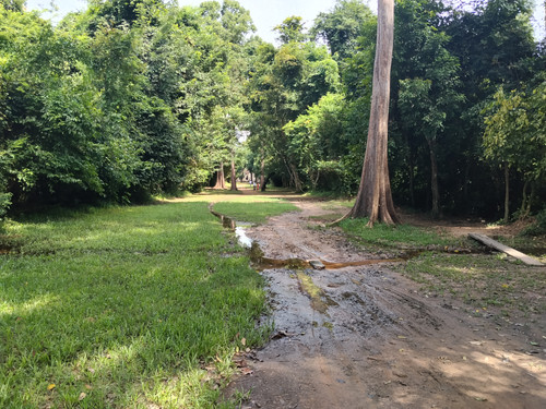 IMG 20251021 132349.jpg