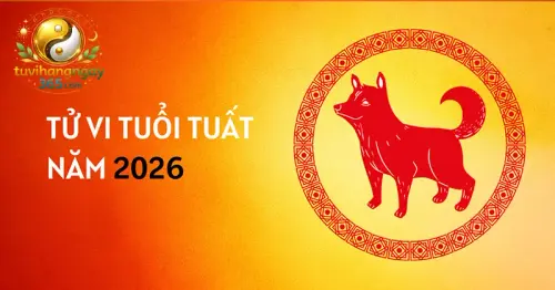 Tử Vi Tuổi Tuất Năm 2026.webp