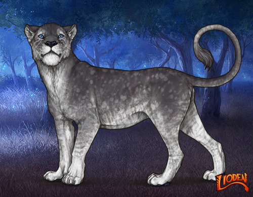 lioden wardrobe (2).png