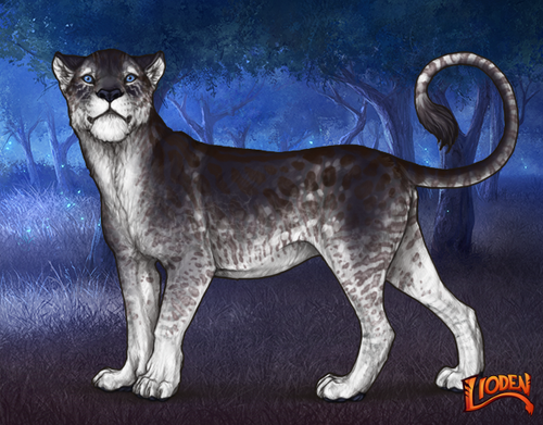 lioden wardrobe (3).png