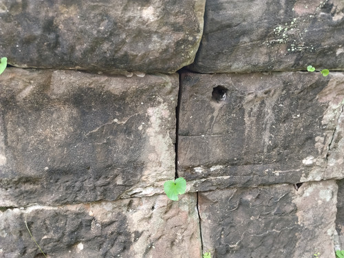 IMG 20251021 162642.jpg