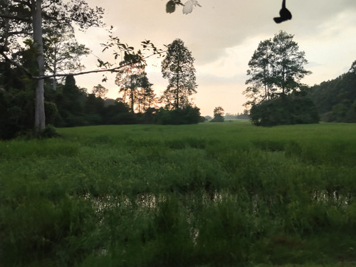 IMG 20251021 170938.jpg