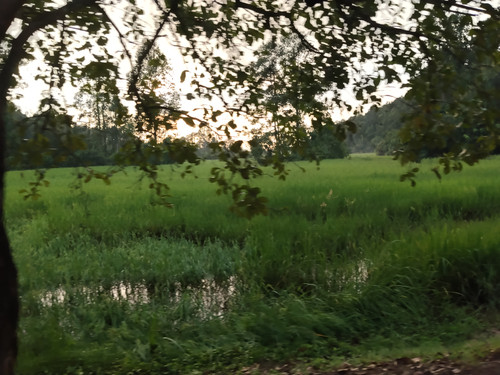 IMG 20251021 170936.jpg