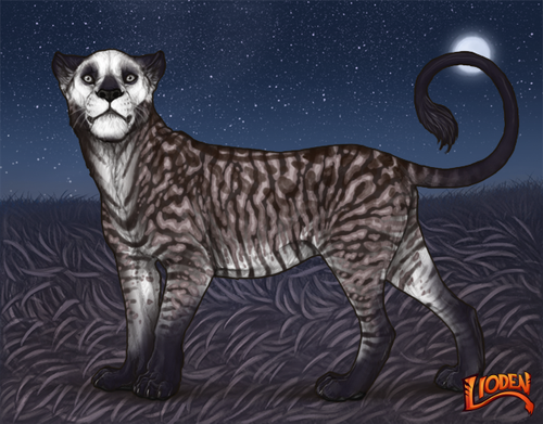 lioden wardrobe (5).png