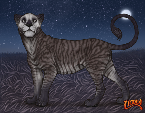 lioden wardrobe (4).png