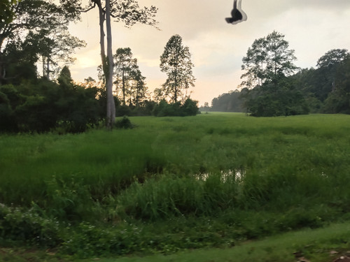 IMG 20251021 170941.jpg