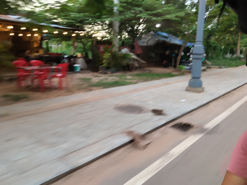 IMG 20251021 172130.jpg