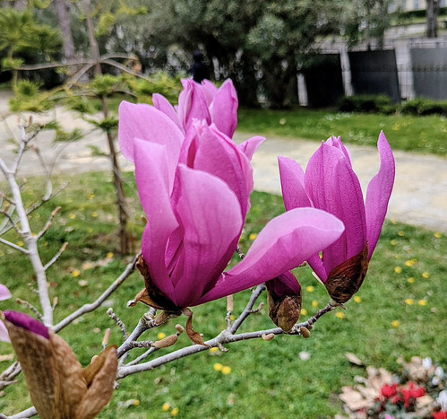 HC R VoWwAAxcQ3?format=jpg.jpg