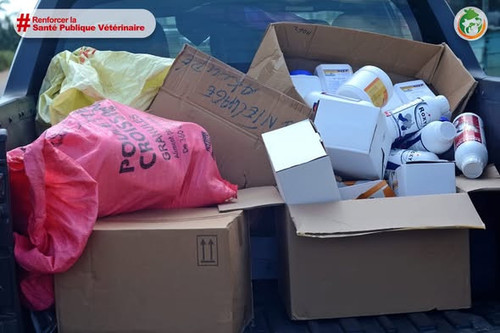 648836742 1252922367029412 6718055809760828781 n.jpg?stp=dst jpg s590x590 tt6& nc cat=106&ccb=1 7& n.jpg