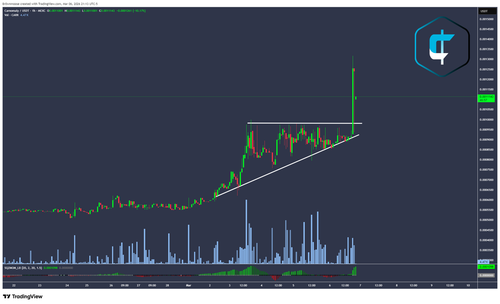 HCxhReJWoAA OXk?format=png.png