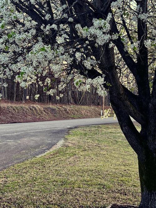 HC D8obWAAA8OBV?format=jpg.jpg