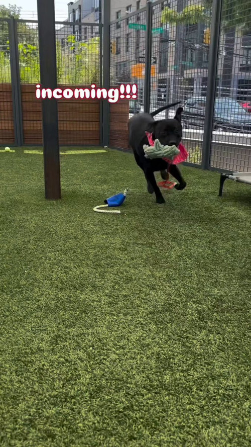 dPpGYwbSfKg IWZp.jpg