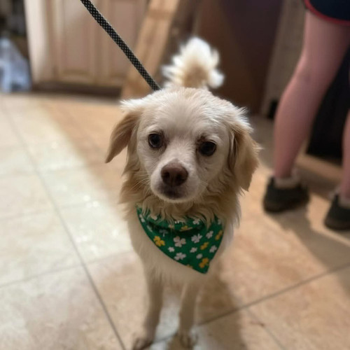 HC7BXsyXsAApfa ?format=jpg.jpg