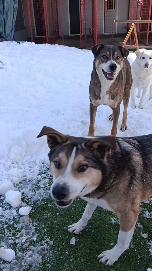 w4e OAyPxwiBdrq .jpg